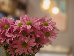 -后海16号·北京私房菜