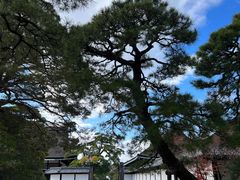 -京都御所