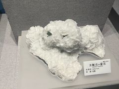 -贵州省地质博物馆
