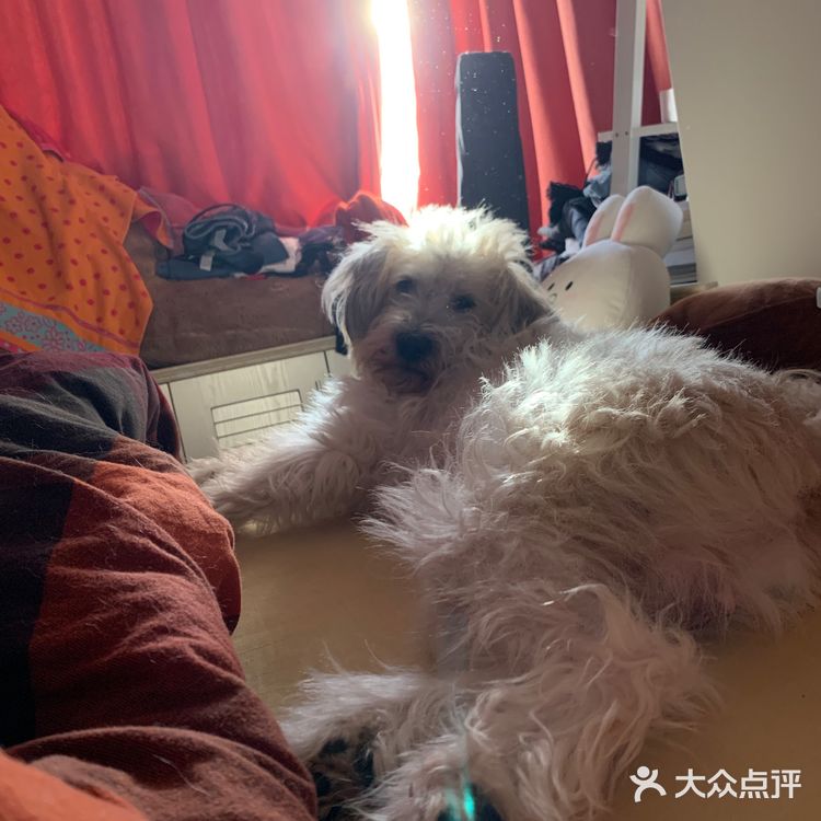 上海经典耳光馄饨