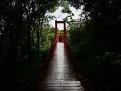 -上海吴淞炮台湾国家湿地公园