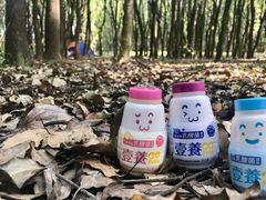 -同里国家湿地公园
