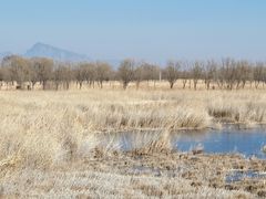 -野鸭湖国家湿地公园