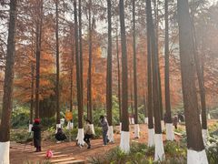 -重庆彩云湖湿地公园