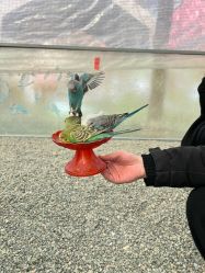 -萌宠亲子动物乐园(槐房万达店)