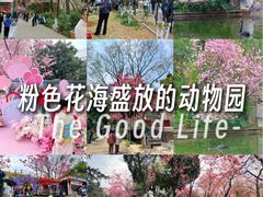 -昆明动物园