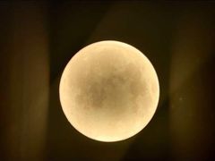 -深圳独角兽星空艺术馆