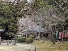 -醍醐寺