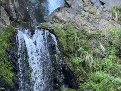 -石台牯牛降景区