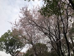 -影珠山