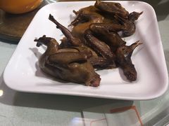 -食家鸽园