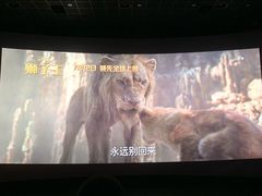 -山文星辉影城(青岛和谐广场店)