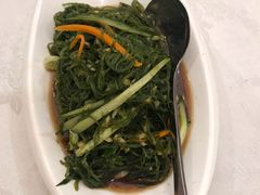 老醋龙须菜-万宝海鲜舫(劳动公园店)