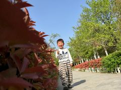 -云龙湖旅游景区