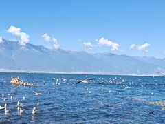 -滇池海埂公园