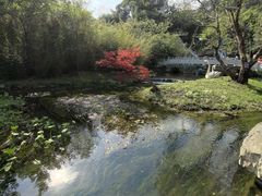 -天河潭旅游度假区