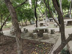 -石家庄市植物园