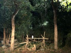 -清迈夜间动物园