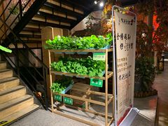 -锦上中式酒馆(南内环店)