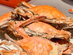 -渔民船说·北塘海鲜·天津菜·海肠捞饭(北塘古镇店)
