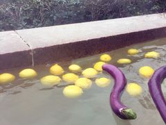 -天目湖涵田半山温泉