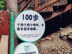 -大岭沟猕猴桃谷风景区