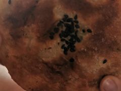 -张吉祥花椒肉火烧(老潍县美食城店)