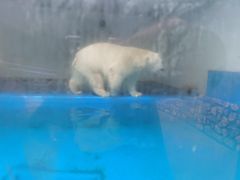 -泉城欧乐堡海洋极地世界