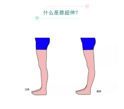 -水沐莲清瑜伽·普拉提