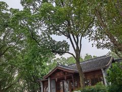 -上海市保健医疗中心