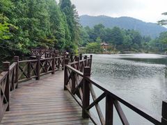 -四明山国家森林公园