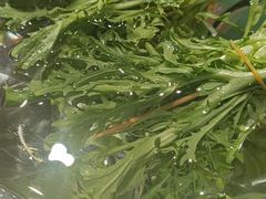 -百品聚旋转火锅(号外店)