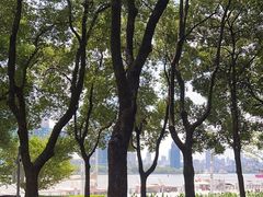 -外滩悦榕庄·海怡西餐厅