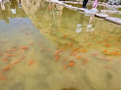 -桑干河大峡谷旅游区