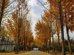 -意大利农场度假村