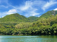 -雁南飞茶田景区