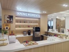 -小鹏汽车上海吴中路销售服务中心