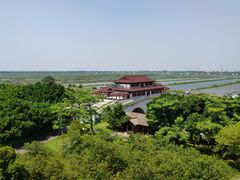 -大湾区中央湿地公园