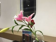 -法兰度航空主题餐厅(东汇城店)