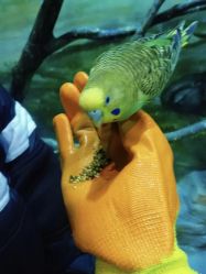 -宝燕乐园(闵行旗舰店)