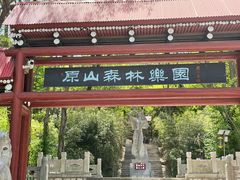 -原山国家森林公园