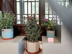 -苏州上方山国家森林公园