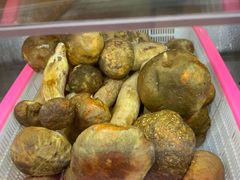 -菌海森林·非遗野生菌火锅(西山区滇池路摩根道店)