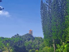 -深圳仙湖植物园