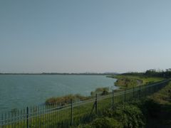 -江滩湿地公园