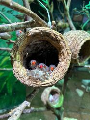 -Zoolung Zoolung动物主题公园(海信广场店)