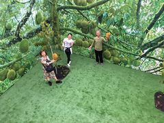 -都念榴莲·城市榴莲