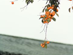 -北寺塔