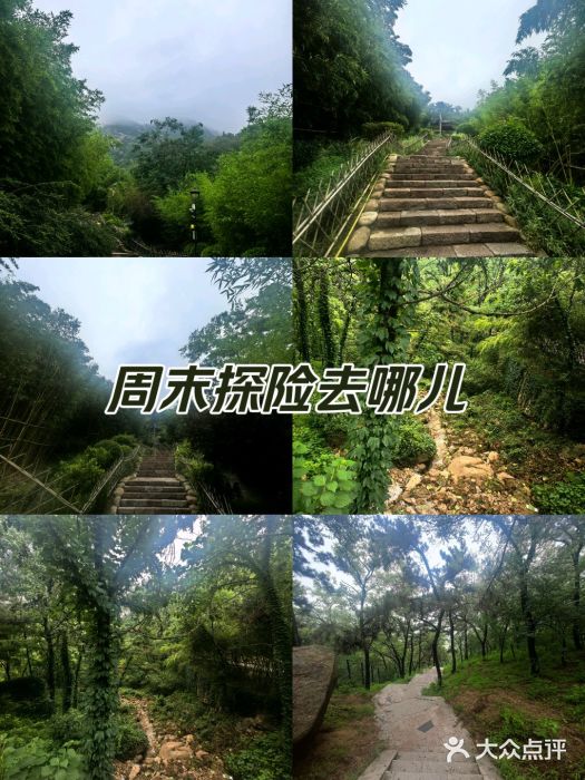 竹子庵公园图片