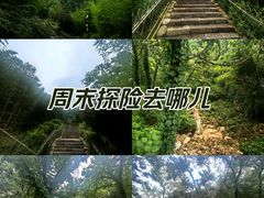 -竹子庵公园